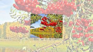 ИМПРЕССИЯ Я ворвусь в метели