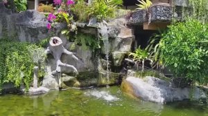 Расслабляющие звуки воды. Звук фонтана для сна, релакса и снятия стресса.