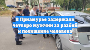В Приамурье задержали четверо мужчин за разбой и похищение человека