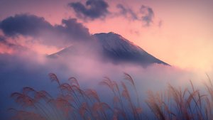 Написано в Сочи - "Смена"