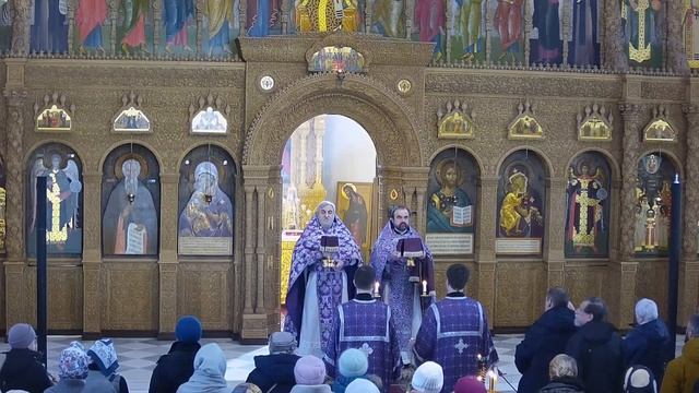 Прямая трансляция смотреть онлайн