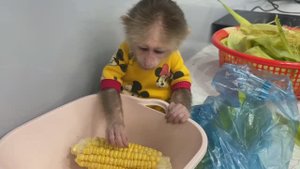 Обезьянка МАЛЕХА едет на маме на рынок Зачарована блендером Делает кукурузное молочко Пьет из соски