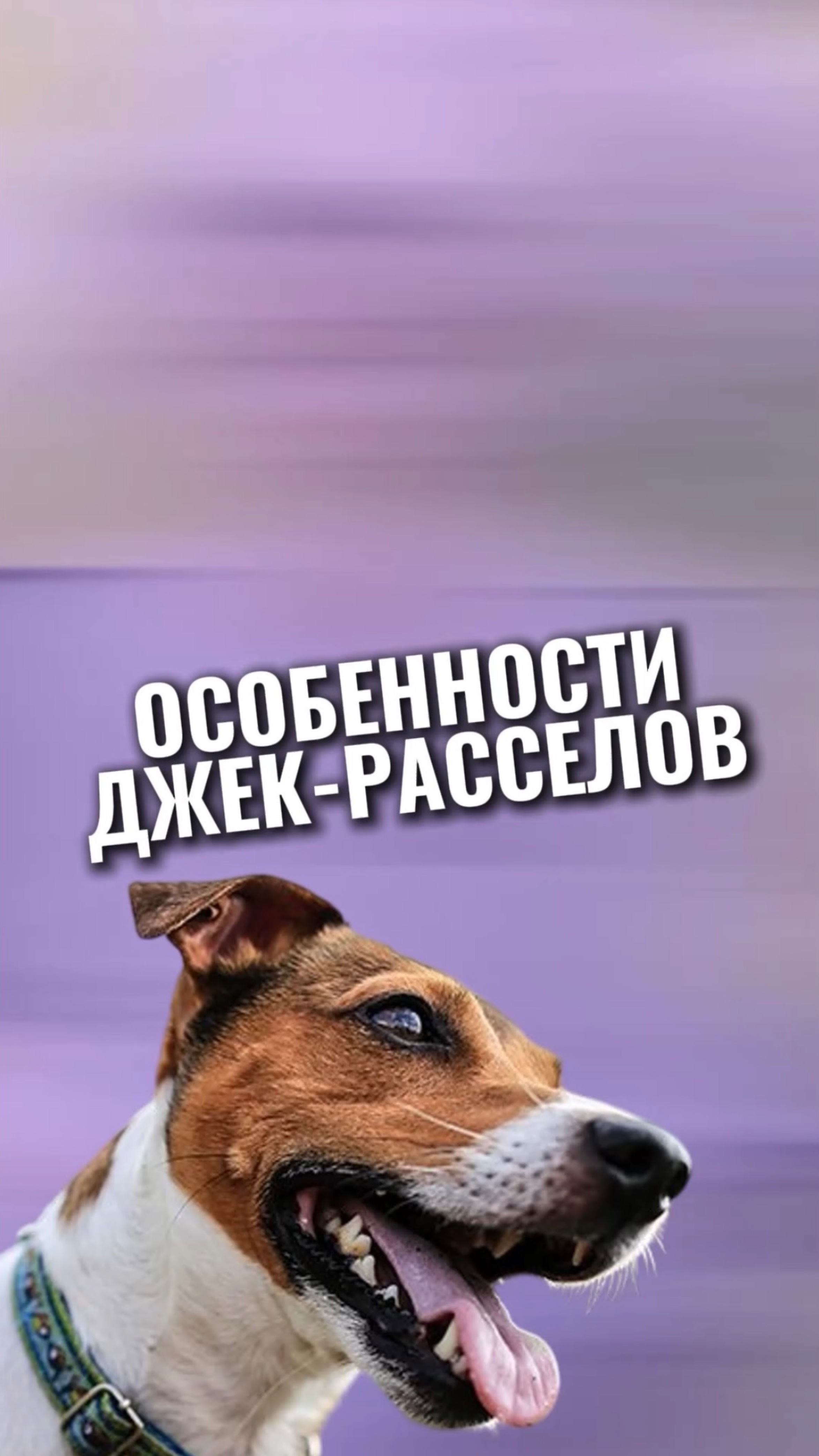 🎁Бесплатные уроки. Жми сюда! смотреть онлайн