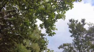 Выветривание головы в деревне. Август 2025.