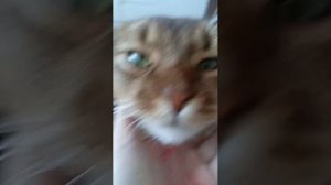 интервью с Димоном