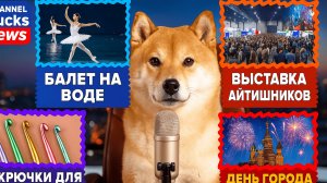 Bucks News. Выпуск 11.09.2025