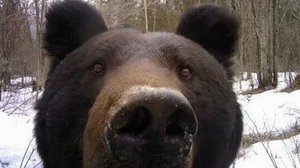 моя сестра пропиарила мой канал на нём уже 150 подписчиков