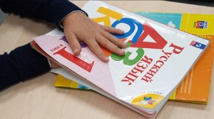 В российскую школу не приняли мальчика, зачитавшего Пушкина наизусть