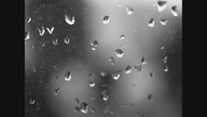 Федя и Саша