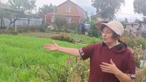 «Советы бабушки Агафьи»