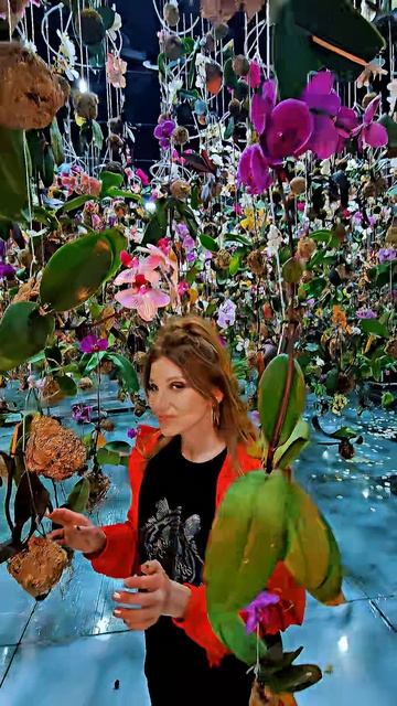 Любовь сильнее зимы... смотреть онлайн