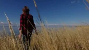 ПРЕКРАСНАЯ   ПЕСНЯ -  МОЙ ТОЛЬЯТТИ  -  ДИАНА   НАСЫРОВА