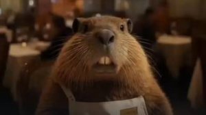 Бобр-Курва пьян😏😅