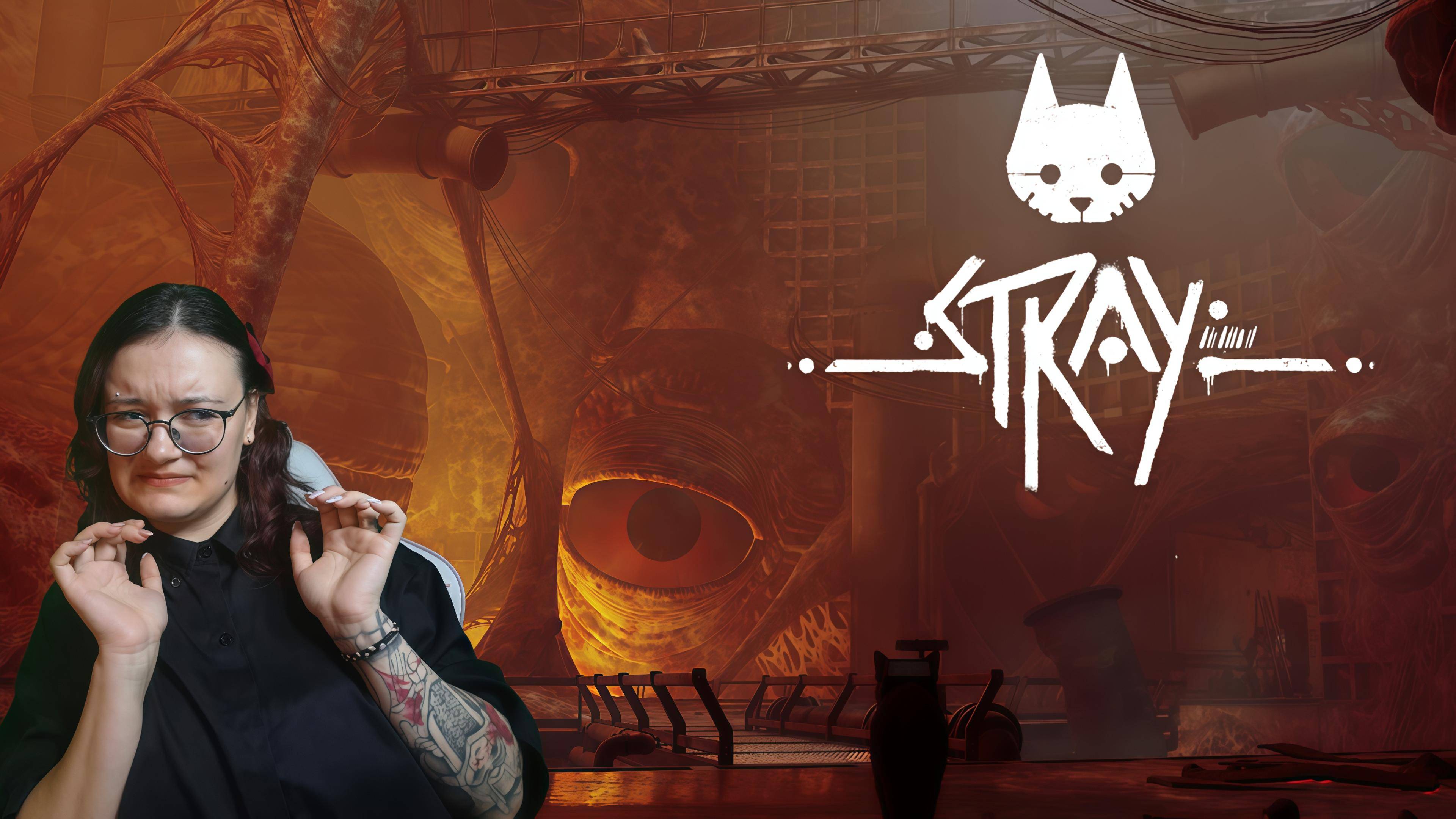 Ох уж эти глазки ➤ Stray #4