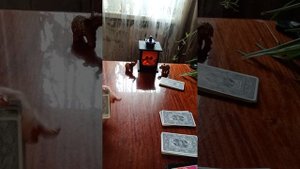 Таро.Новость для вас.