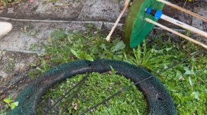 Говночист тонет в илу альта био