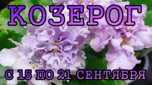КОЗЕРОГ таро прогноз на неделю с 15 по 21 СЕНТЯБРЯ 2025 года.