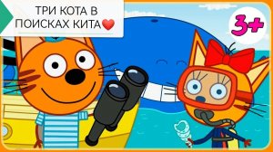 Три Кота ( В Поисках Кита)❤️