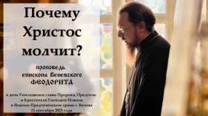 «Почему Христос молчит?». Епископ Веневский Феодорит