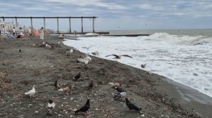 Разборки на пляже