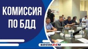 Проблемы детской смертности в ДТП и безопасность на дорогах | Заседание комиссии в Сочи