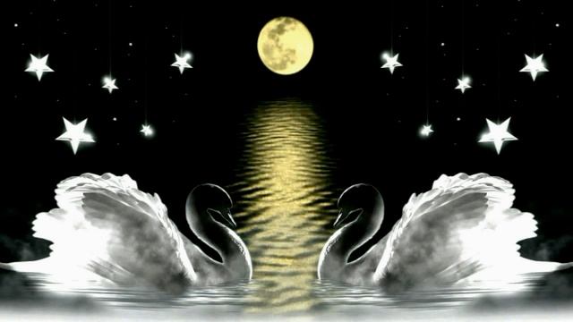 The Swan (Mischa Maisky) смотреть онлайн