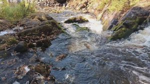 Почти прощальная прогулка. Карелия. Тохмайоки.