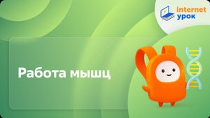 Работа мышц. Видеоурок по биологии 8 класс