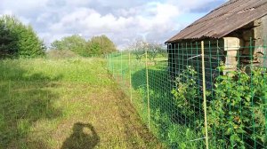 Новый забор 06.2024 год.