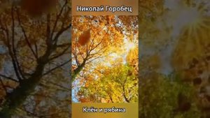 1000083196.mp4
Клен и рябина Николай Горобец