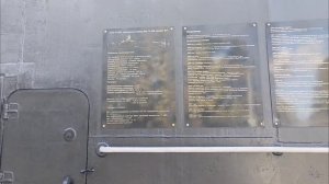 прогулка в парке