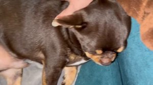 Всем доброй ночи и прекрасных, дивных снов.