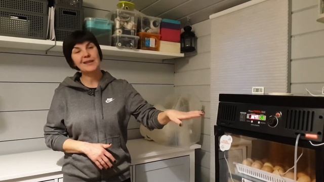 Ошибки инкубации. Получаем максимальный результат! Часть 1 смотреть онлайн