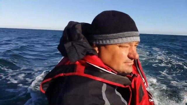 Черноморский морской окунь