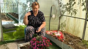 Дачный видео привет.