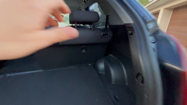 IMG_7035 смотреть онлайн