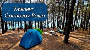 Кемпинг Сосновая роща 19-20.07.2025.
