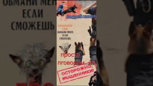 Стебемся над продлевателями 404