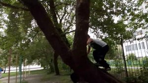 прыгаем на дереве