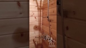 Отзыв довольного клиента. Баня "Квадро"