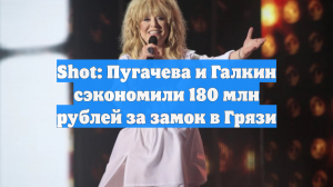 Shot: Пугачева и Галкин сэкономили 180 млн рублей за замок в Грязи