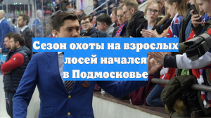 Сезон охоты на взрослых лосей начался в Подмосковье
