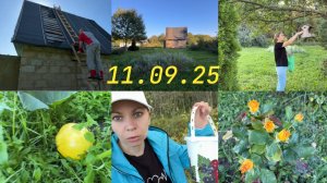 ДАЧА 11.09.2025 / ПОДЛАТАЛИ КРЫШУ