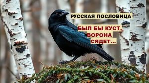 Русская пословица. БЫЛ БЫ КУСТ, ВОРОНА СЯДЕТ...