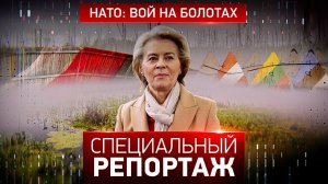 НАТО: вой на болотах