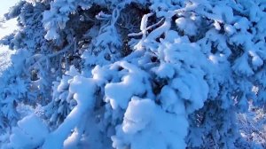 Сана Дьыл алгыьа Николай Чуор-тыллара, Станислав Луковцев-мелодията. Ыллыыр-Галина Матвеева