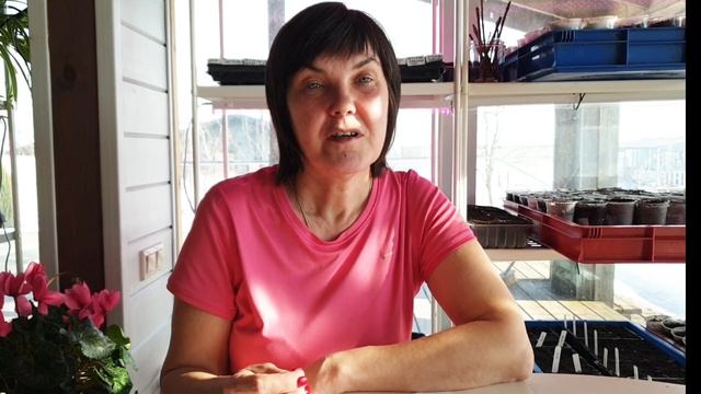 #2 Как выбрать томаты на ранний урожай? Наш способ посадки семян без замачивания и пикировки. смотреть онлайн