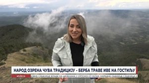 Народ Озрена чува традицију – берба траве Иве на Гостиљу