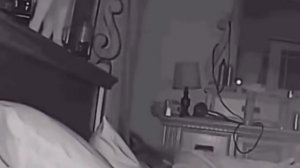 Доброе утро😊Бодрое утро от любимого питомца😂