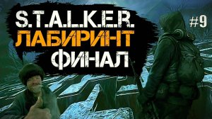 Прохождение STALKER -Лабиринт Серия 9 Финал